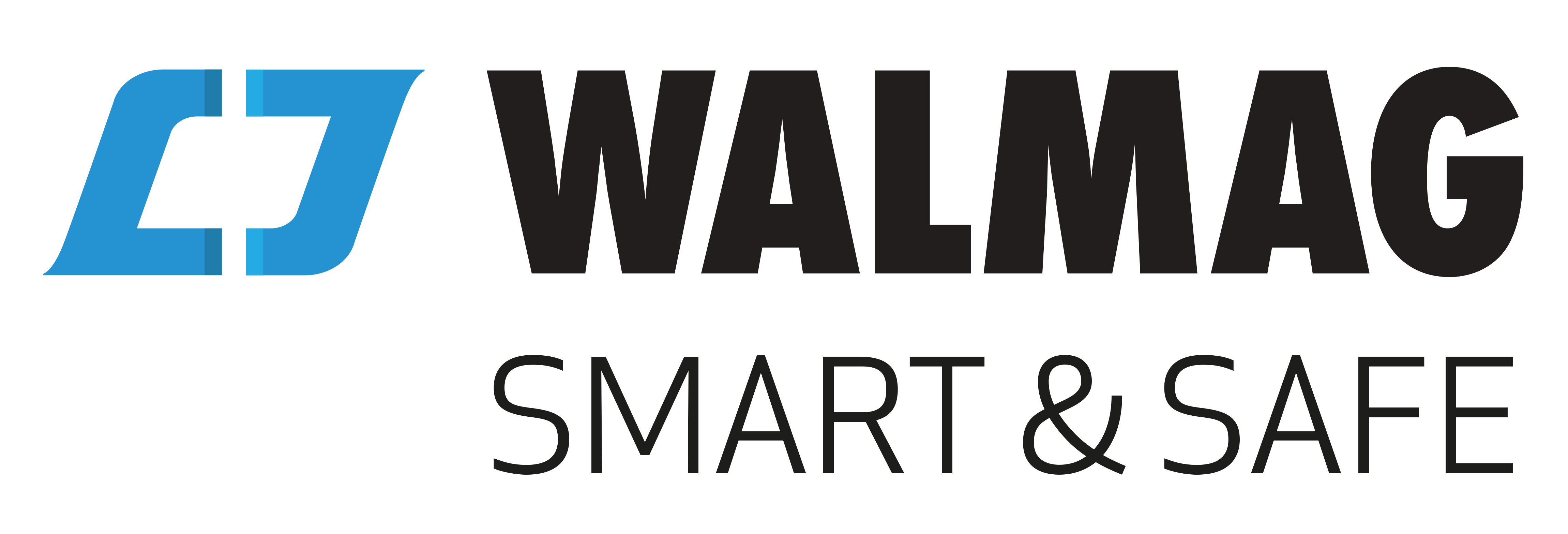 Logo oficial da marca Walmag - MSB Group